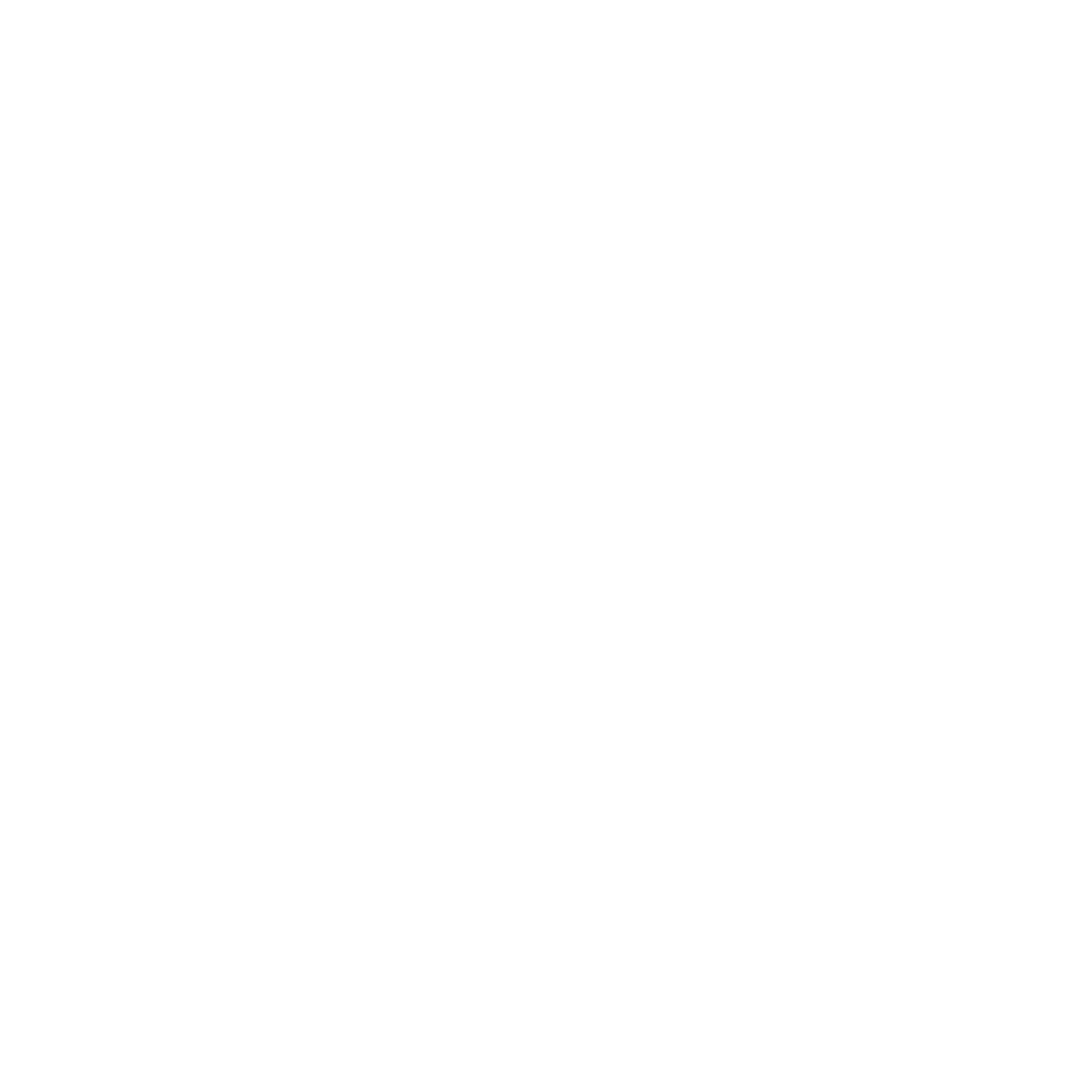 Indiana Fever